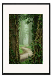 Gerahmter Kunstdruck Zwischen den Stämmen