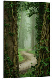 Magnettafel Zwischen den Stämmen