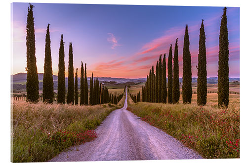 Akryylilasitaulu Cypress avenue
