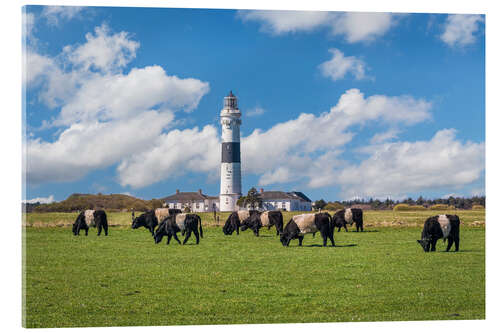 Tableau en verre acrylique Phare chrétien de Langer sur Sylt avec des vaches