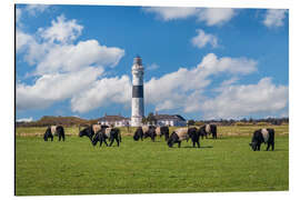 Aluminium print Langer Christian lighthouse on Sylt with cows