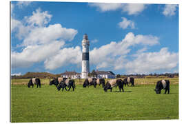 Quadro em plexi-alumínio Farol Langer Christian em Sylt com vacas