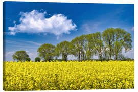 Leinwandbild Himmlischer Frühling