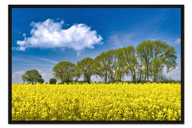 Gerahmter Kunstdruck Himmlischer Frühling