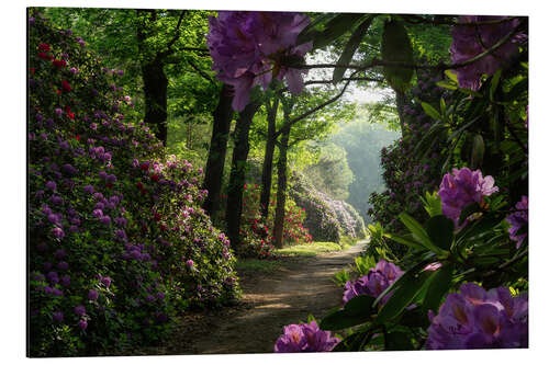 Tableau en aluminium Chemin du Rhododendron