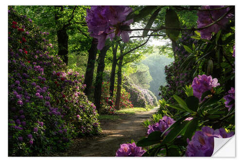 Naklejka na ścianę Rhododendron path