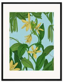 Gerahmter Kunstdruck Vanille