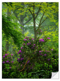 Wandsticker Rhododendren in einem grünen Wald