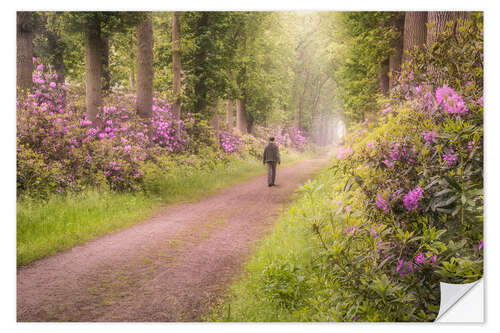 Selvklebende plakat Purple Lane