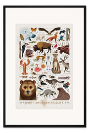 Gerahmter Kunstdruck Nordamerikanische Tierwelt - Dieter Braun
