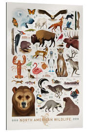 Gallery print North American Wildlife