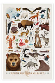 Poster Nordamerikanische Tierwelt