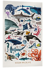 Tableau en verre acrylique  Ocean Wildlife - Dieter Braun