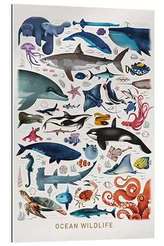 Gallery print Ocean Wildlife