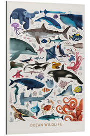 Magnettafel Meerestiere