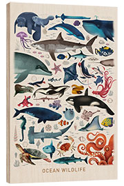 Wood print  Ocean Wildlife - Dieter Braun