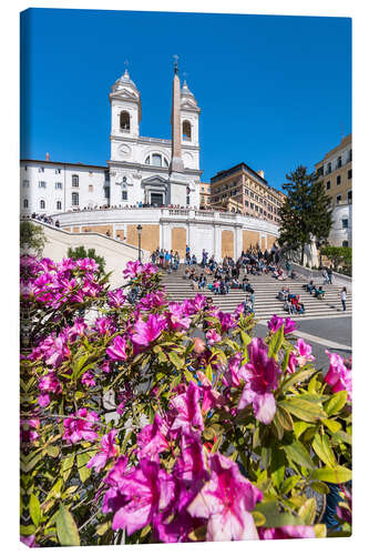 Lerretsbilde Azaleas on the Spanish Steps in Rome