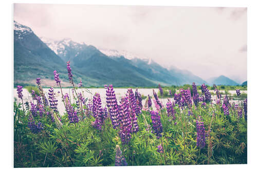 Tableau en PVC Lupins en fleurs à Glenorchy