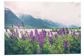 Tableau en PVC Lupins en fleurs à Glenorchy