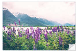 Självhäftande poster Blooming lupins in Glenorchy