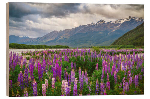 Holzbild Blühende Lupinen in Glenorchy II