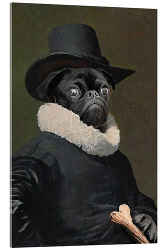 Acrylic print Lord Frenchie