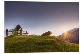 Hartschaumbild Sommerlicher Ausblick auf der Alm