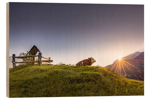 Trebilde Summer view on the Alm
