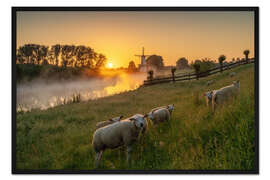 Gerahmter Kunstdruck Nur ein paar Schafe bei Sonnenaufgang