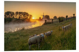 Hartschaumbild Nur ein paar Schafe bei Sonnenaufgang