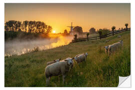 Wandsticker Nur ein paar Schafe bei Sonnenaufgang
