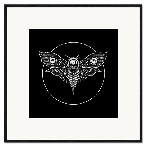 Framed art print Deaths Head Moth