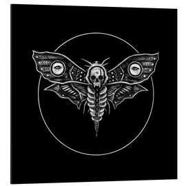 Magnettafel Totenkopfmotte