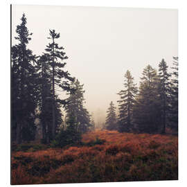 Magnettafel Du bist hier