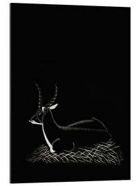 Gallery print Waterbuck