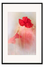 Gerahmter Kunstdruck Schöne Mohnblume