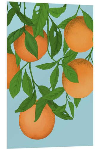 Foam board print Oranges