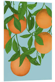 Foam board print Oranges