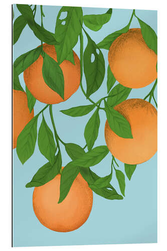 Gallery print Oranges