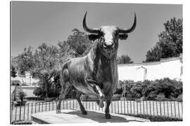 Gallery print Bull sculpture, Ronja, Spain