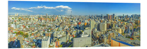 Foam board print Tokyo seen from Bunkyo - with Skytree