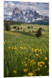 Foam board print Alpe di Siusi in spring