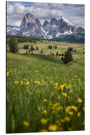 Magnettafel Seiser Alm im Frühling