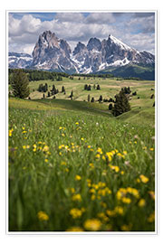Poster Alpe di Siusi au printemps