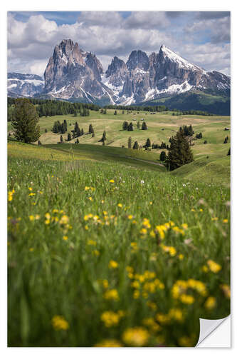 Muursticker Alpe di Siusi in spring