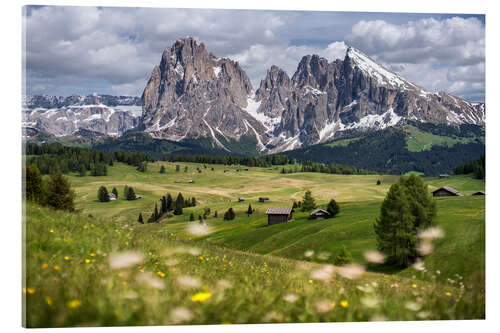 Akrylbilde Alpe di Siusi in spring