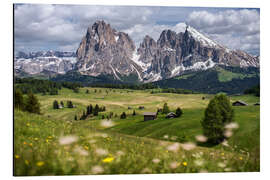 Aluminium print Alpe di Siusi in spring