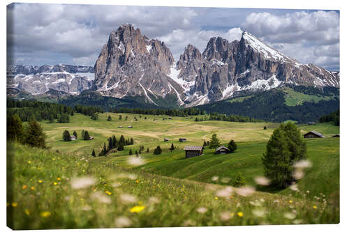 Canvas print Alpe di Siusi in spring