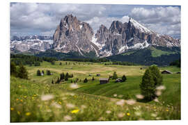 Foam board print Alpe di Siusi in spring