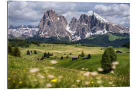 Gallery print Alpe di Siusi in spring